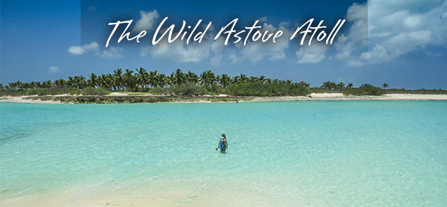 For those of you seeking an adventure with a unique, wild and totally isolated fishing experience - have a look at Alphonse Fishing Company's latest story and pictures from "The Wild Astove Atoll".