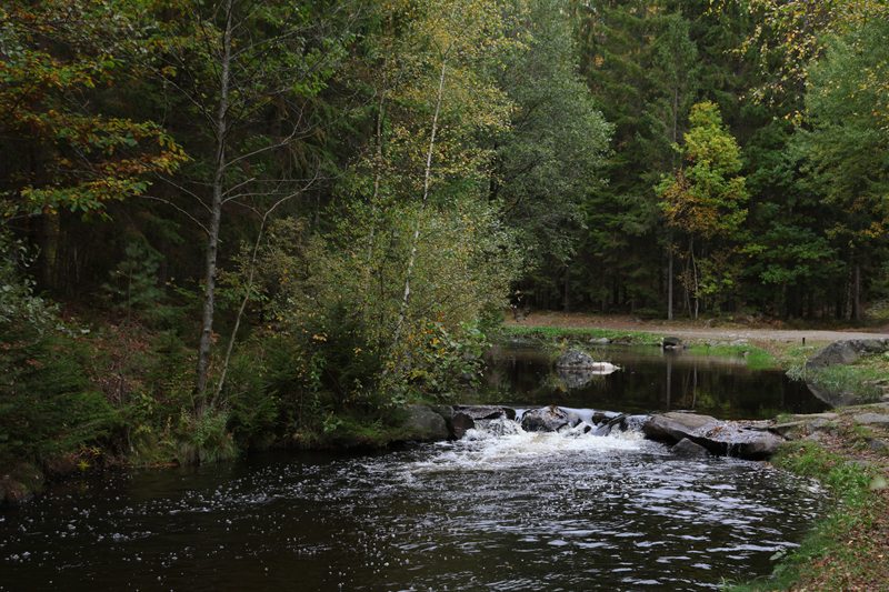 While many creeks were running dry this Autumn in the south of Sweden, the artifical river at the Harasjömåla Fiskecamp was kept at a normal level by means of the pumps working to get enough water going through the river bed. 