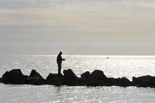  The European Anglers Alliance and the European Fishing Tackle Trade Association have been asking for a pan-European study on recreational fisheries for more than a decade. 
