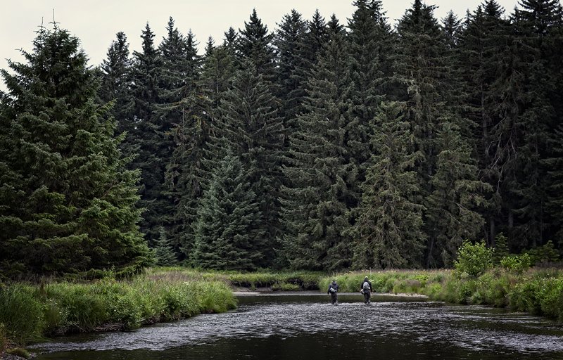 A diverse group of more than seven thousand Alaskan businesses and individuals that value and rely on wild salmon and trout for their livelihoods, including commercial fishermen, guides and outfitters, as well as conservationists and sport anglers, voiced support for conserving top fish-producing watersheds within the Tongass during the lengthy public process leading up to the final plan amendment.