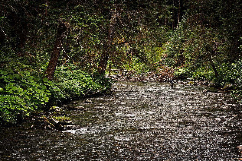 Sportsmen and businesses applaud new direction for country’s largest National Forest.