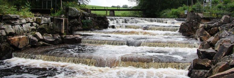 “The WFD represents a crucial piece of EU environmental legislation,” says a representative of the RecFishing Forum. “It has greatly contributed to the improvement of water protection in the EU. A review process will start in 2019.