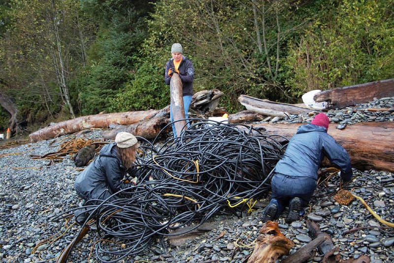 Every month, the Vancouver Island Chapter has a beach cleanup, where volunteers put on work gloves, rubber boots, and pick up garbage.