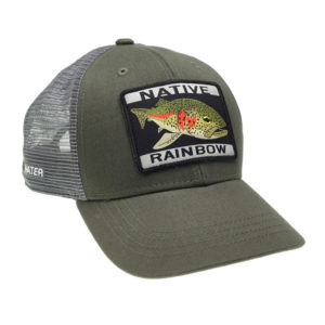 The Western Native Trout Initiative is a public-private Fish Habitat Partnership that works collaboratively across twelve western USA states to conserve, protect, restore and recover 21 native trout and char species.