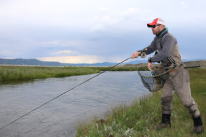 With the addition of the all new El Jefe River Armor Net, we have created the most bombproof collection of wading nets on the market - the lineup covers all species and preferences with the El Jefe, the Mid-Length, and the Emerger Net.