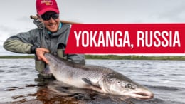 Fly fishing on the Yokanga River in Russia for some of the world's largest Atlantic Salmon. The river is situated on the north-eastern coast of the Kola Peninsula.