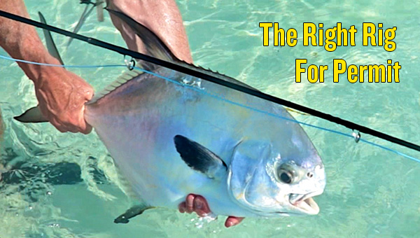 The Right Rig For Permit