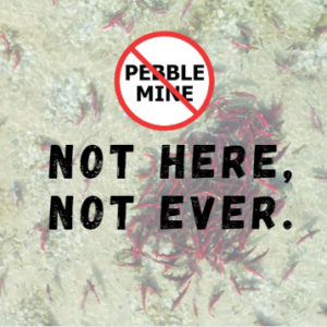 Sportsmen argue EPA ignored sound science, prioritized advancement of Pebble mine over fishing industry.