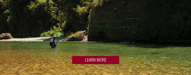 Learn more on Scott Centric rods