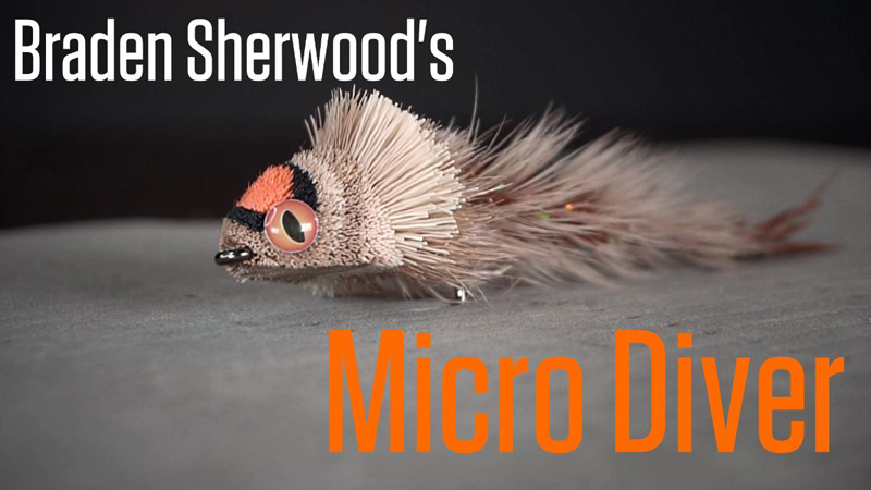 Braden Sherwood's Micro Diver