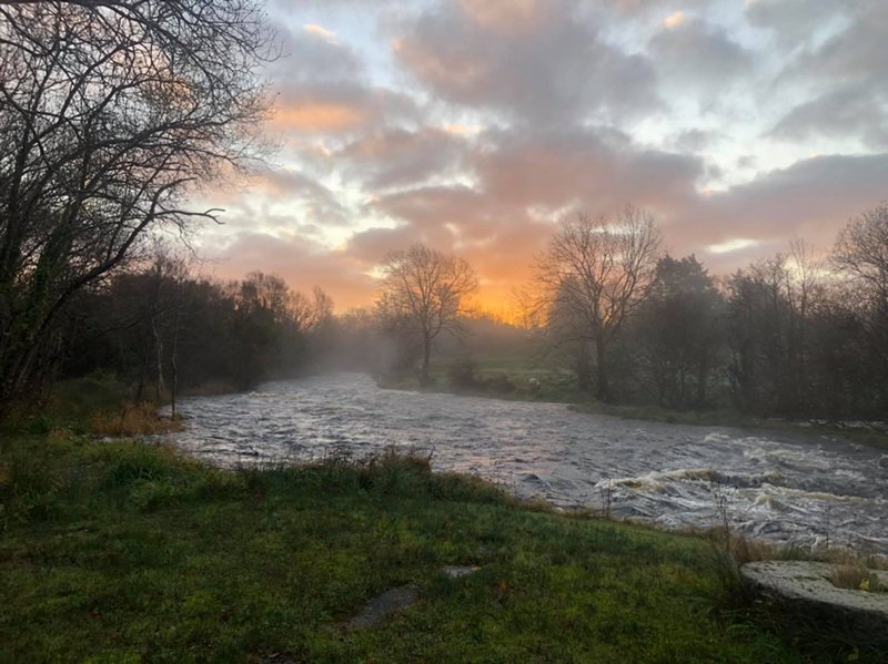 December on the Drowse.