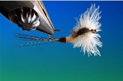 14th German Open Fly Tying Championship 2021 - sponsored by Daiichi - Angler Sport Group.