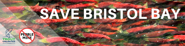 Logo Save Bristol Bay