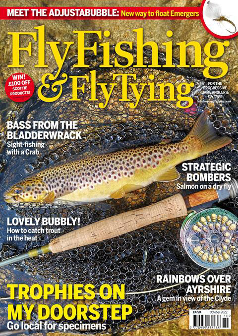 FF&FT October: Trophies on my doorstep – Going local for specimen fish.