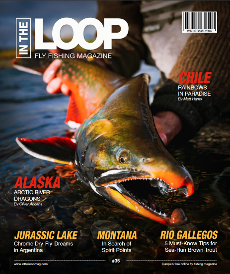 In the Loop Magazine 35