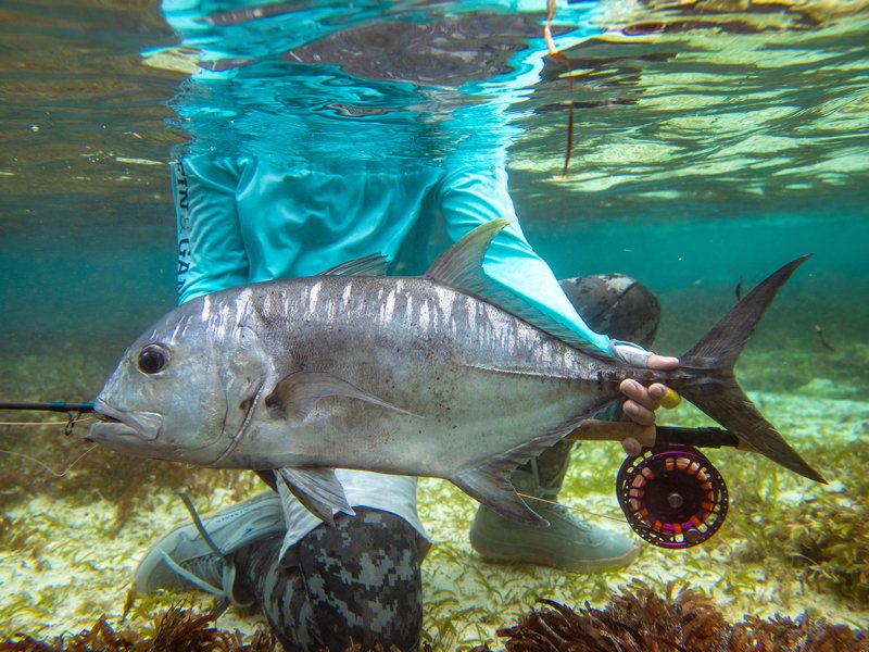 Keep Fish Wet: Has the time come?