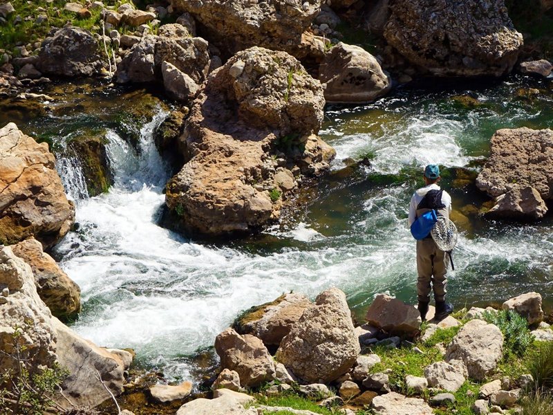 Marocco: Muddling through the Middle Atlas