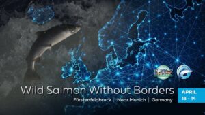 The EWF and the Atlantic Salmon Trust are to host a weekend event in Fürstenfeldbruck (near Munich), Germany on April 13th and 14th, to energize international action for wild Atlantic salmon.