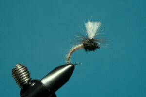 The coordinators of the 18th Open German Fly Tying Championship 2025 report that numerous flies have already been submitted! They are looking forward to many more entries!