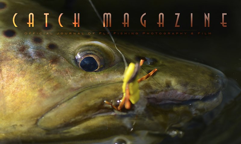 Catch Magazine Issue #84 is live!