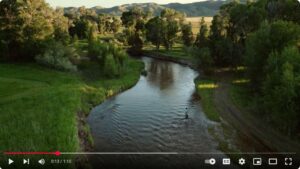 The evolution of a fly angler corresponds directly to the pace at which they fish.