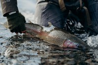 Patagonia: Big Dreams and Big Rainbows.