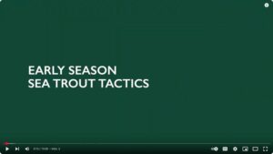 Fly Fishing Guide Colton Kelly talks early season sea trout tactics including nighttime sea trout fishing.