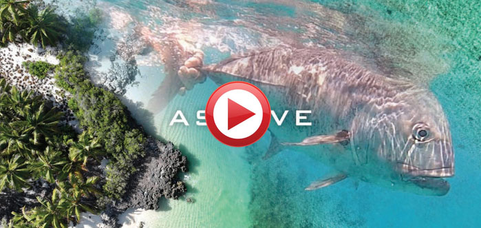 If you haven't had the chance yet, to see our recent short-film from ASTOVE in the Seychelles, we hope you will hit the link.
