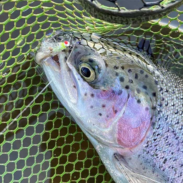 Fulling Mill Flies For Right Now.