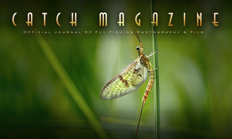 Catch Magazine - Issue #86 Announcement.