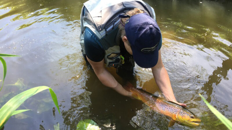 Fly fishing is also a major focus in Duisburg – the large fly casting pool is the place to be!