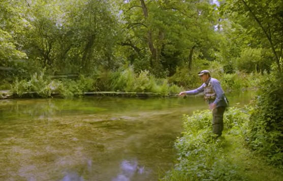 Rare good news for globally renowned UK chalk streams.