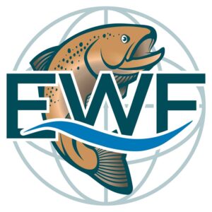 In addition to a new, modern logo, the website will soon be shining in new splendour, marking a promising step into the future of this traditional event.