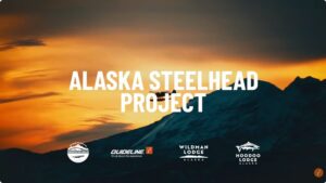 Steelhead are a mirror of the wild places they inhabit. This is what led us to Alaska, in the remote Aleutian Peninsula to be exact, with a goal not only to catch, but also to understand and experience.