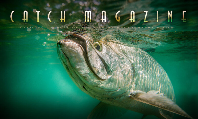 Catch Magazine - Issue #87 Announcement!