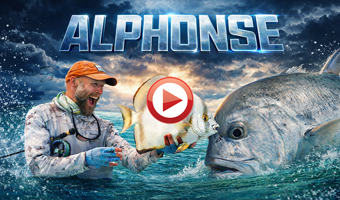 If you haven't had the chance yet, to see our recent short-film from ALPHONSE in the Seychelles, we hope you will hit the link.
