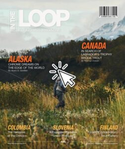 Summer has arrived together with our June-issue.