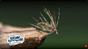 The soft hackle hare's ear is a classic nymph pattern for a reason. Its impressionistic nature allows it to look nothing and everything all at the same time.