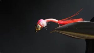 In this fly tying tutorial, we will walk you through how to tie the Party Favor — a flashy shad pattern built with UV materials, hot colours, and a unique wing case technique using party balloons.