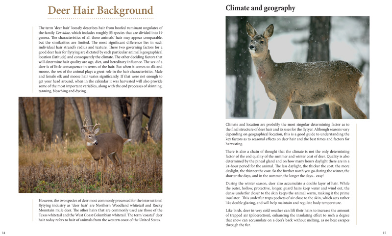 Deer Hair Background.
