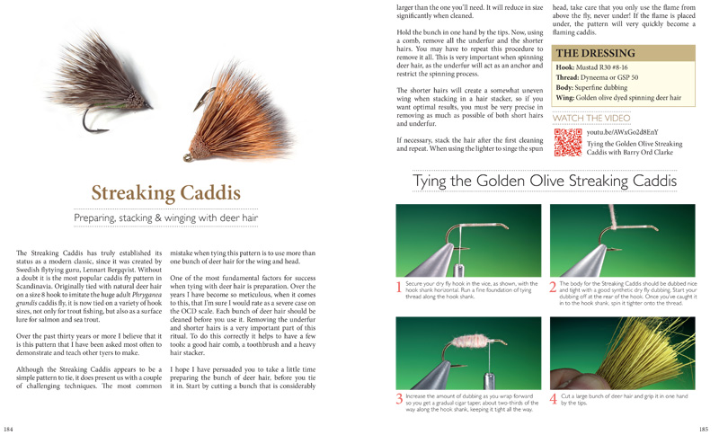 Streaking Caddis 1.