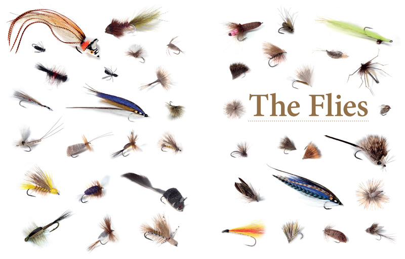 The Flies.
