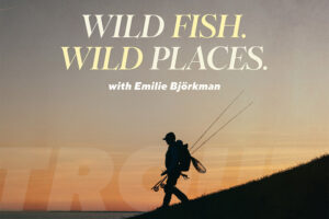 The latest episode in our epic series Wild Fish / Wild Places is now live on our YouTube channel.
