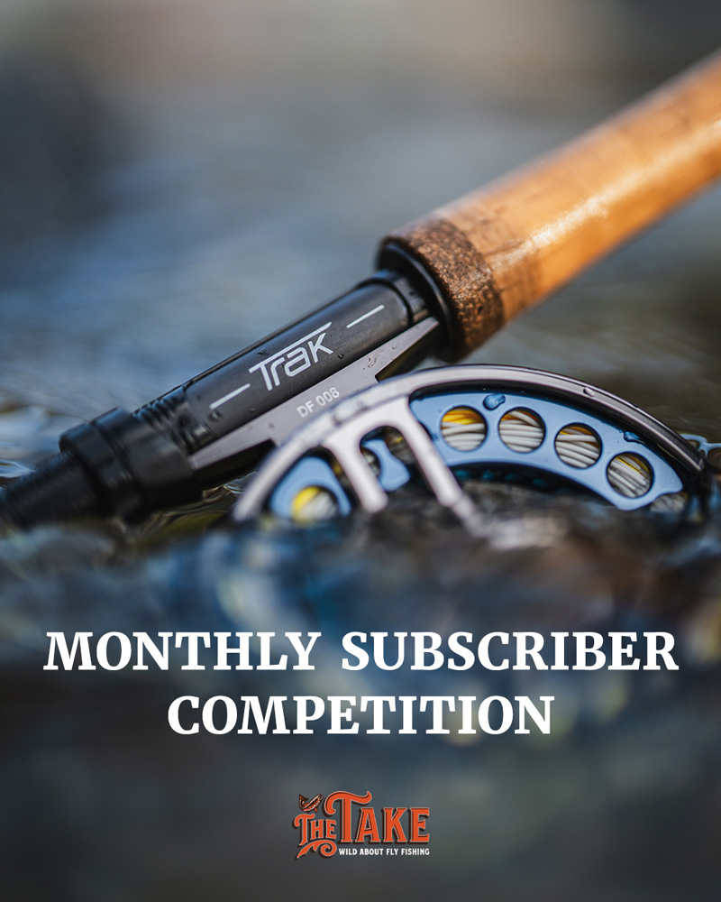 Competition